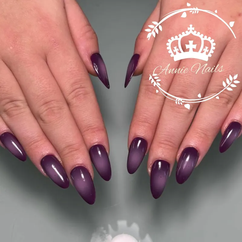 Long stiletto nails in a deep violet ombre